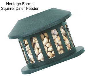 Heritage Farms Squirrel Diner Feeder