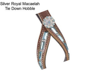 Silver Royal Macaelah Tie Down Hobble