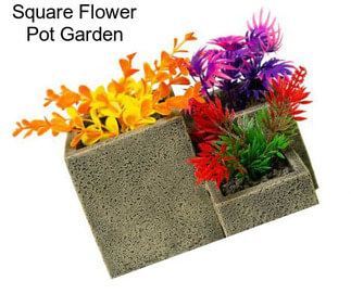 Square Flower Pot Garden