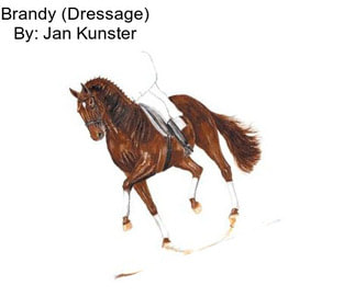 Brandy (Dressage) By: Jan Kunster