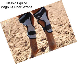 Classic Equine MagNTX Hock Wraps