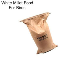 White Millet Food For Birds