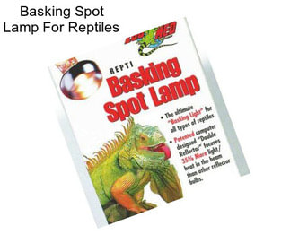 Basking Spot Lamp For Reptiles