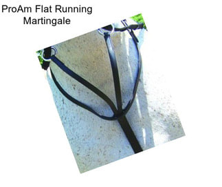 ProAm Flat Running Martingale