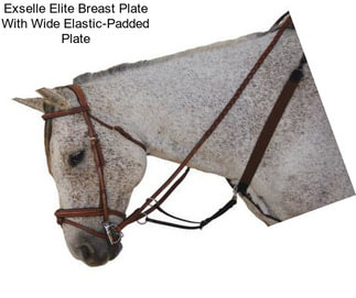 Exselle Elite Breast Plate With Wide Elastic-Padded Plate