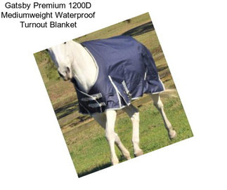 Gatsby Premium 1200D Mediumweight Waterproof Turnout Blanket