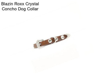Blazin Roxx Crystal Concho Dog Collar