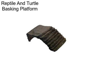 Reptile And Turtle Basking Platform