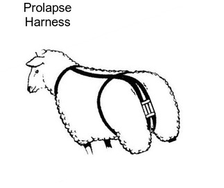 Prolapse Harness