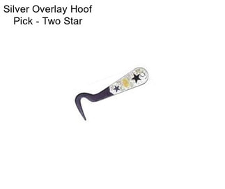 Silver Overlay Hoof Pick - Two Star