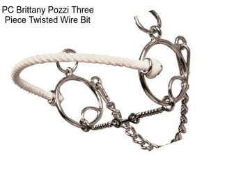 PC Brittany Pozzi Three Piece Twisted Wire Bit