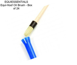 EQUIESSENTIALS Equi-Hoof Oil Brush - Box of 24