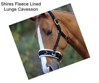 Shires Fleece Lined Lunge Cavesson