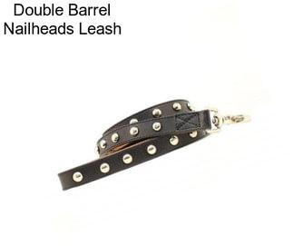 Double Barrel Nailheads Leash