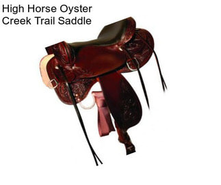 High Horse Oyster Creek Trail Saddle