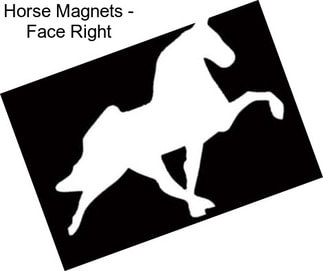 Horse Magnets - Face Right