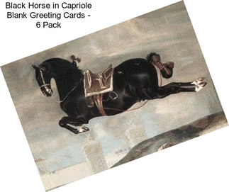 Black Horse in Capriole Blank Greeting Cards - 6 Pack