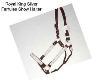 Royal King Silver Ferrules Show Halter