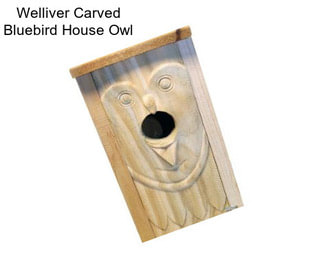 Welliver Carved Bluebird House Owl