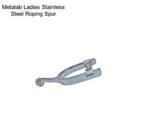 Metalab Ladies Stainless Steel Roping Spur