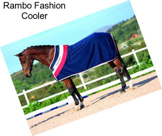 Rambo Fashion Cooler