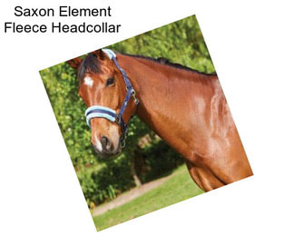 Saxon Element Fleece Headcollar