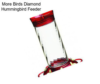 More Birds Diamond Hummingbird Feeder