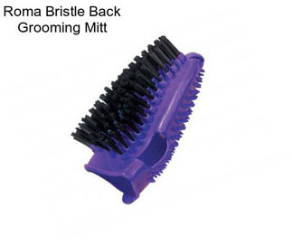 Roma Bristle Back Grooming Mitt