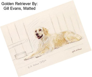 Golden Retriever By: Gill Evans, Matted