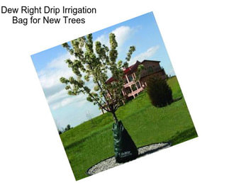 Dew Right Drip Irrigation Bag for New Trees