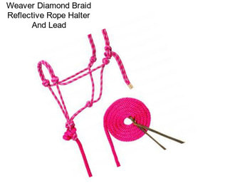 Weaver Diamond Braid Reflective Rope Halter And Lead