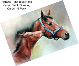 Horses - The Blue Head Collar Blank Greeting Cards - 6 Pack