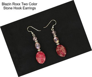 Blazin Roxx Two Color Stone Hook Earrings