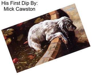 His First Dip By: Mick Cawston