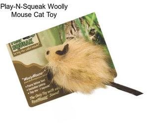 Play-N-Squeak Woolly Mouse Cat Toy