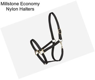 Millstone Economy Nylon Halters