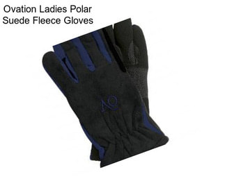 Ovation Ladies Polar Suede Fleece Gloves