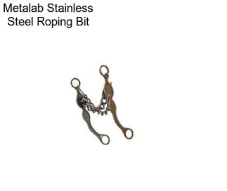 Metalab Stainless Steel Roping Bit