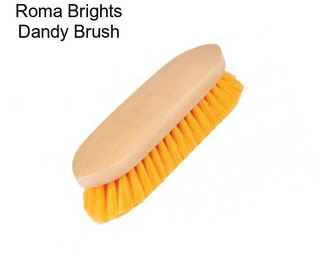 Roma Brights Dandy Brush