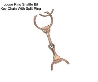 Loose Ring Snaffle Bit Key Chain With Split Ring