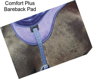 Comfort Plus Bareback Pad