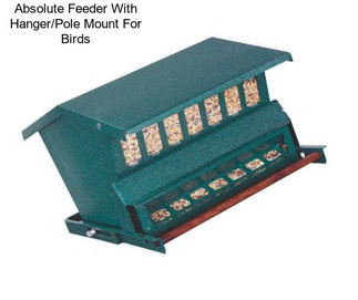 Absolute Feeder With Hanger/Pole Mount For Birds