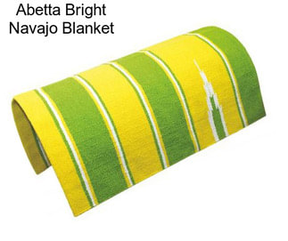 Abetta Bright Navajo Blanket