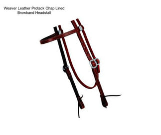 Weaver Leather Protack Chap Lined Browband Headstall