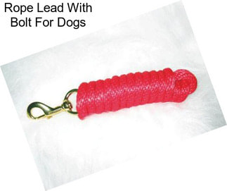 Rope Lead With Bolt For Dogs