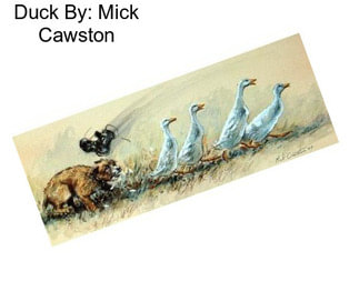 Duck By: Mick Cawston