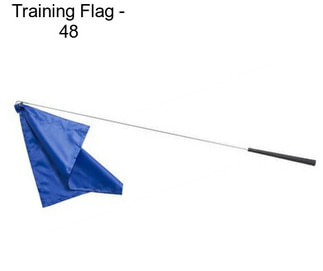 Training Flag - 48\