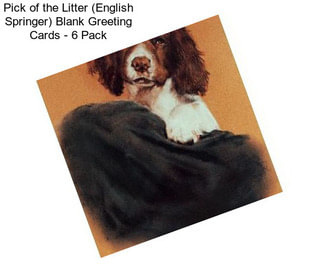 Pick of the Litter (English Springer) Blank Greeting Cards - 6 Pack