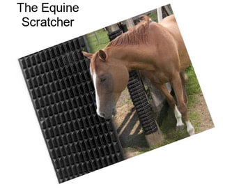 The Equine Scratcher