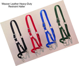 Weaver Leather Heavy-Duty Restraint Halter